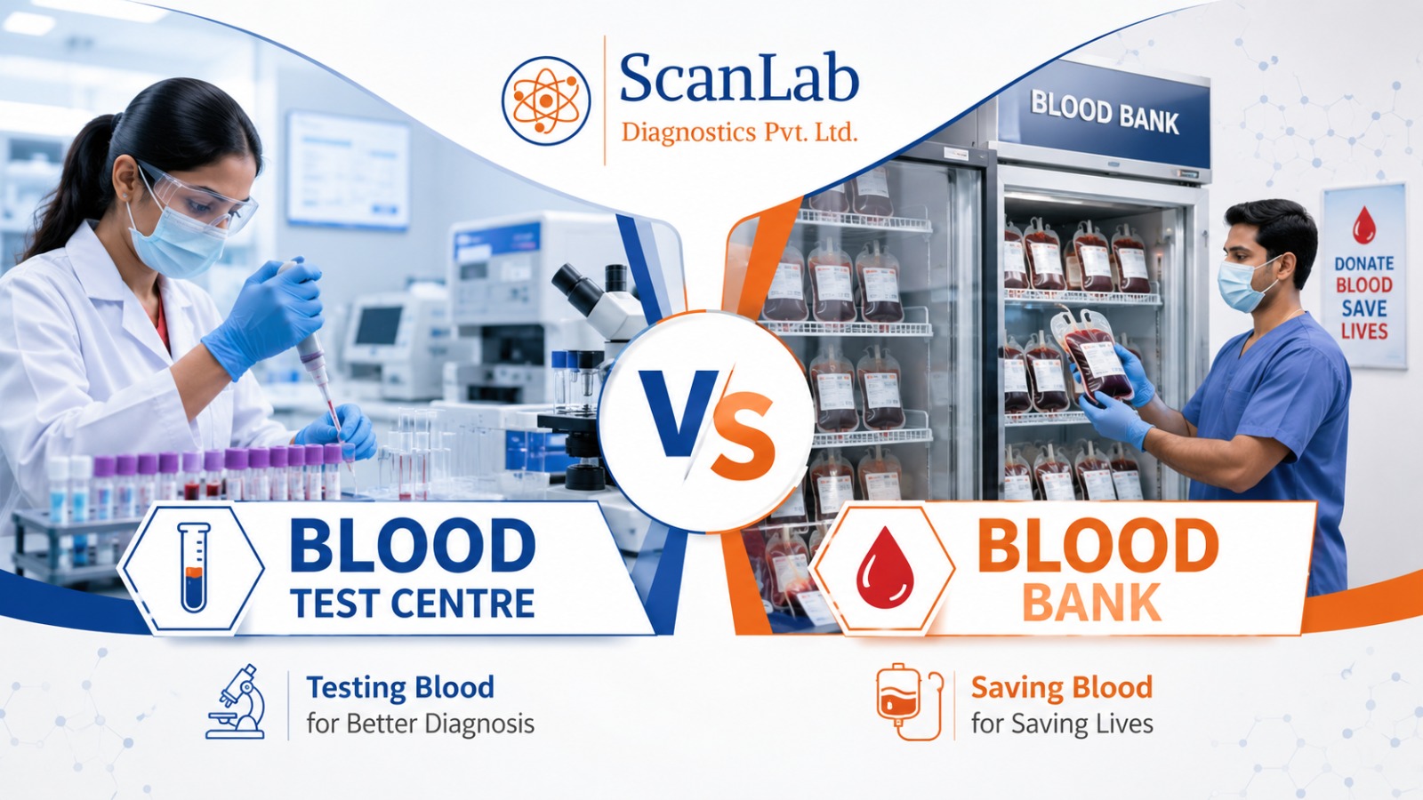Blood Test Centre and Blood Bank Difference: A Simple Guide